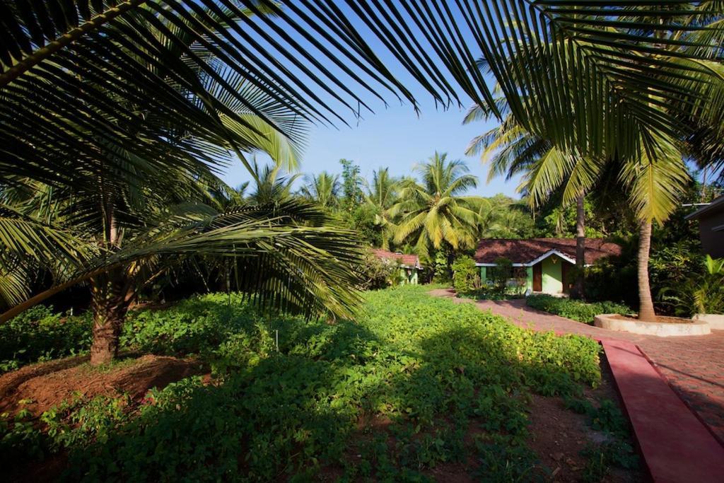 Dunhill Beach Resort أغوندا المظهر الخارجي الصورة
